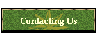 Contacting Us