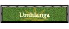 Umhlanga
