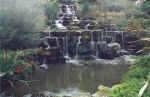 LondonWaterfall.BMP (692010 bytes)